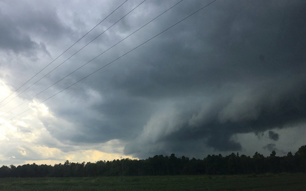 Shelf cloud over a field